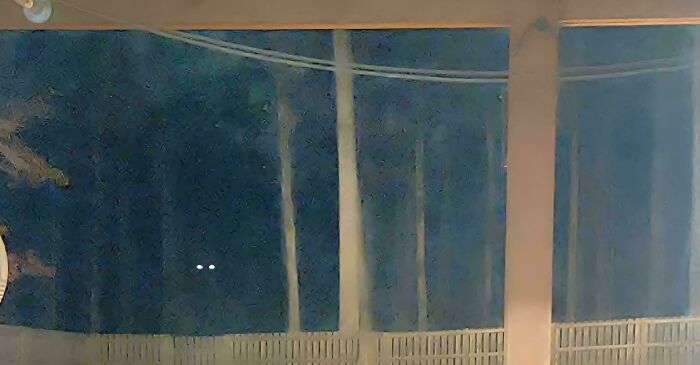 Dark outdoor scene showing faint glowing eyes in the distance, evoking chilling ghost encounters at night.