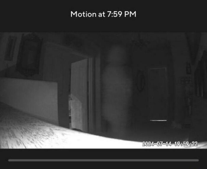 Black and white security camera footage showing a faint ghostly figure captured during a chilling ghost encounter at night.