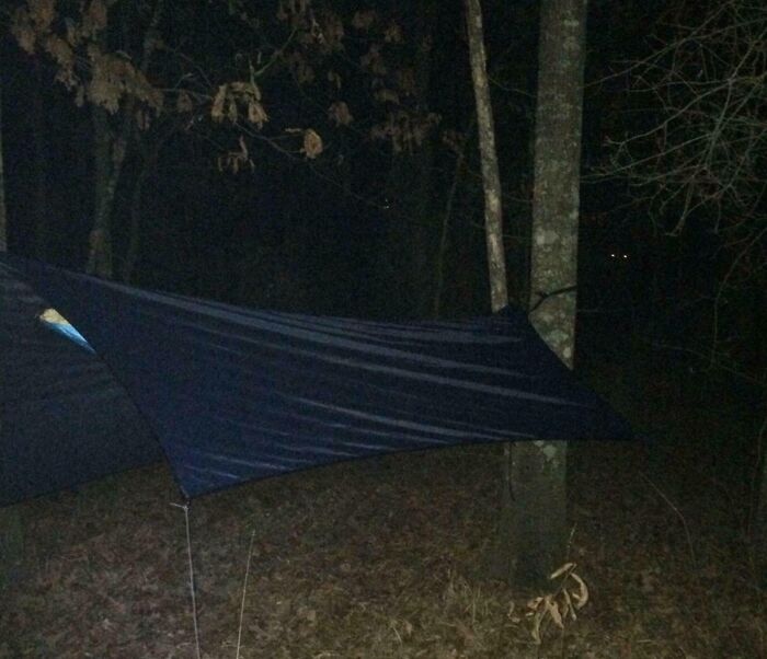 Dark forest scene at night with a hammock tied between trees and faint glowing eyes in the background, ghost encounters theme.