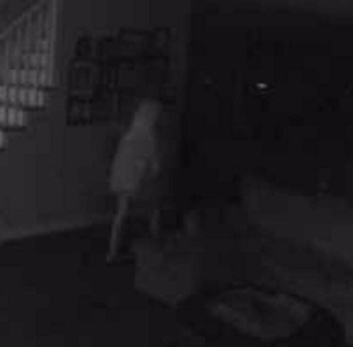 Blurry ghostly figure standing in a dark room near a staircase, evoking chilling ghost encounters at night.
