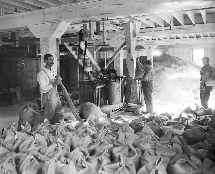 American working class men filling and handling large sacks in a vintage industrial warehouse setting.
