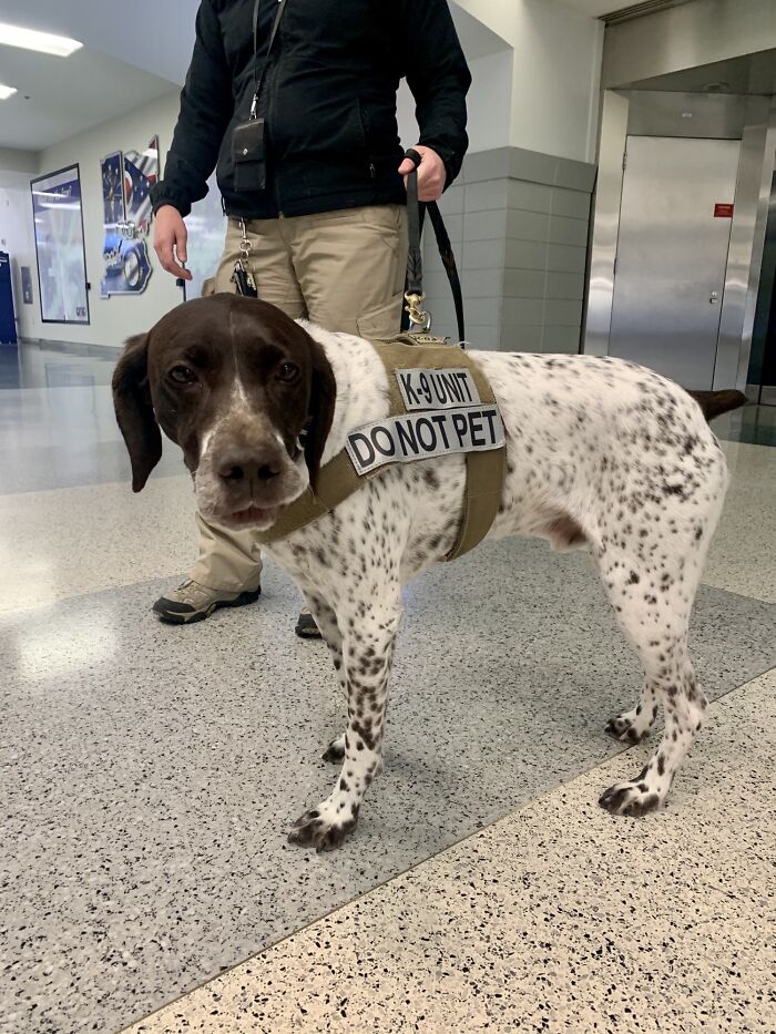 35 ‘Suspicious’ Items Found By Airport Security Workers That Turned Out To Be Legal