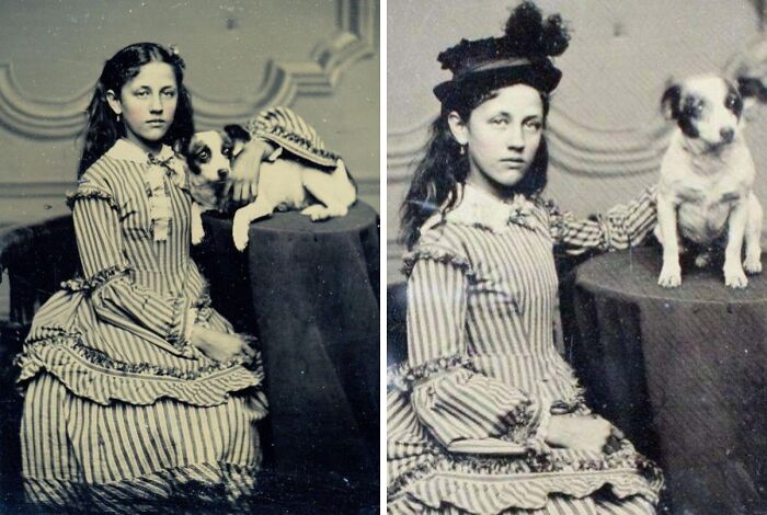 Victorian times girl in striped dress posing with small dog on table in a vintage strange moments photograph.