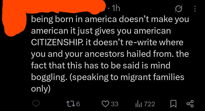 Tweet discussing American citizenship and identity, reflecting opinions related to Steve Irwin as an American hero.