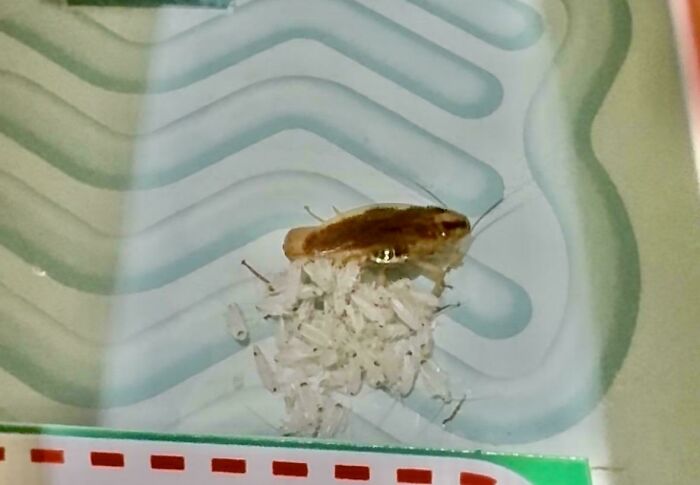 Aquí hay una foto antes de que queme toda mi casa