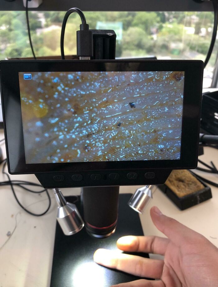 Close-up of a digital microscope screen showing a detailed microscopic view of a finger, highlighting cool microscopic images.