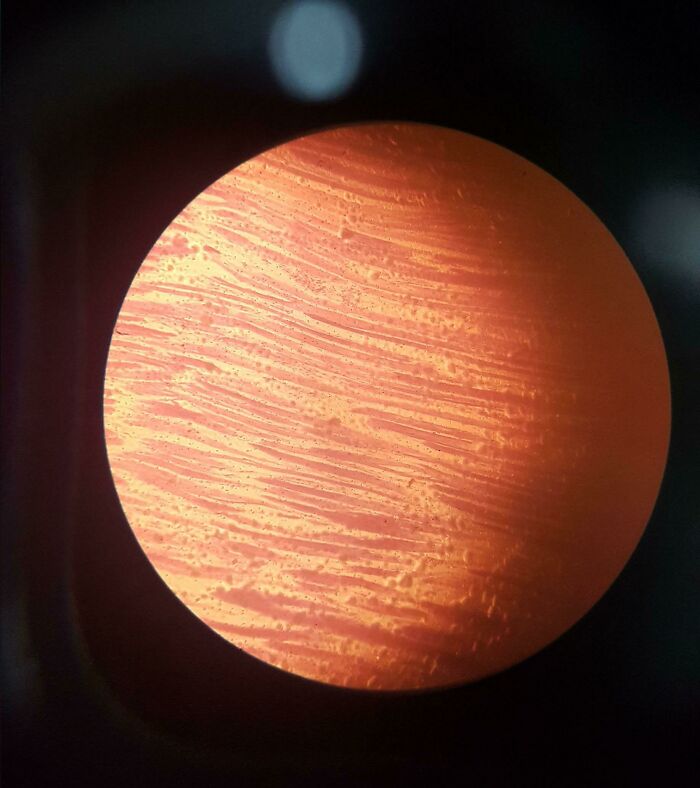 Microscopic image showing detailed texture and patterns, offering a cool perspective on ordinary objects.