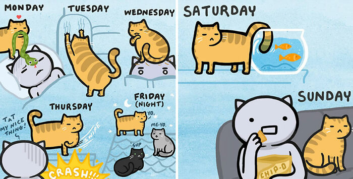 Comic strip by Kitty Moon showing funny and relatable daily life moments with cats in various playful and curious scenes.