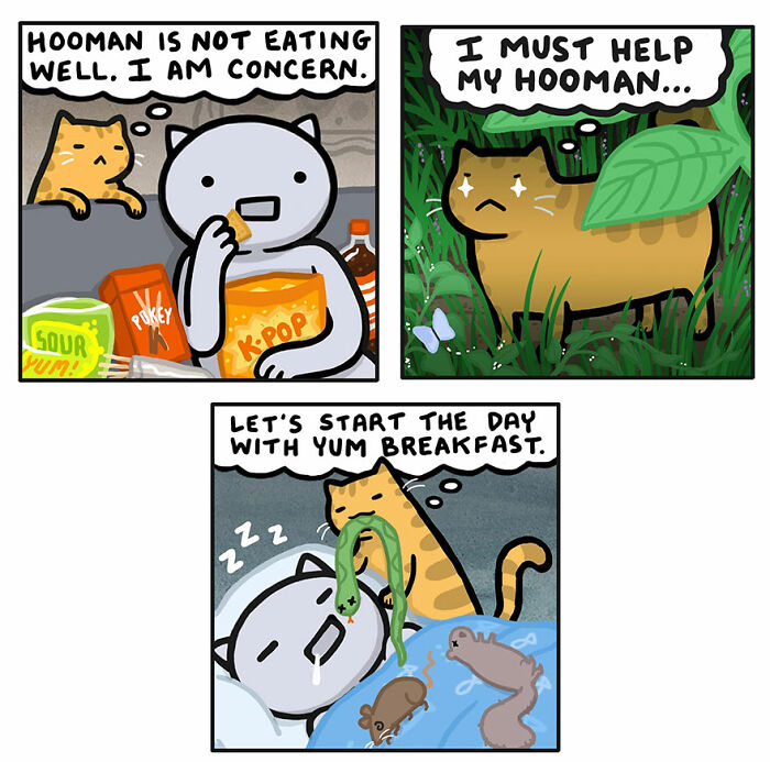 Comic panels by Kitty Moon showing funny and relatable life with cats, including a cat worried about its human’s breakfast.