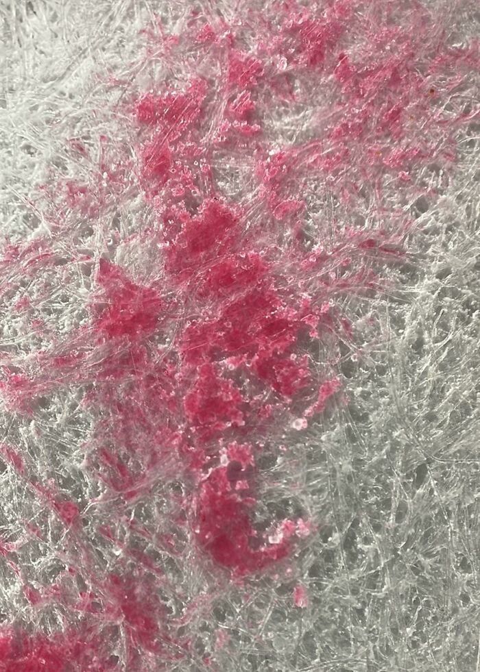 Close-up microscopic image showing intricate fibrous texture with scattered red particles for a unique perspective.