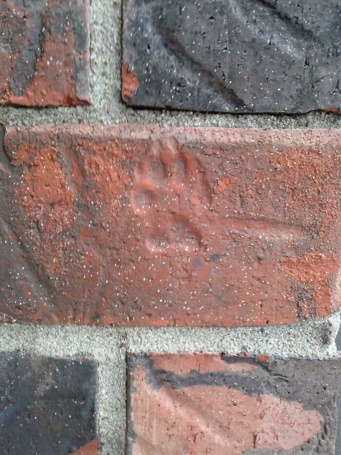 Imprint of a small hand found pressed into a brick wall, a cool hidden thing discovered in an old house.