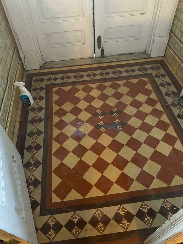 Intricate vintage tiled floor revealed hidden beneath old doors in an old house, showcasing cool things found buried and forgotten.
