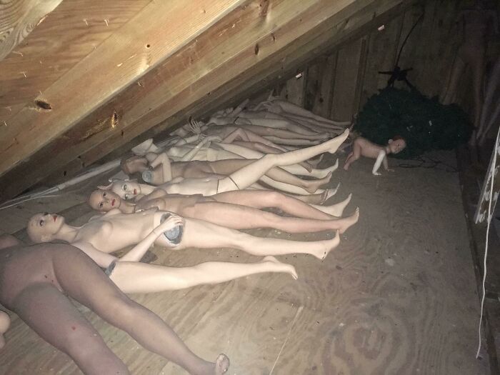 Mannequins and doll parts found hidden in the attic of an old house, a cool discovery from forgotten spaces.