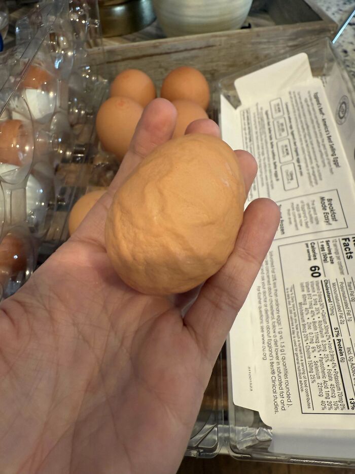 Hand holding a misshapen egg among regular eggs in a carton, showing a funny pic that causes confusion.