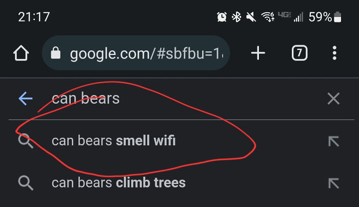 Search screen showing a funny Google query about bears and whether they can smell wifi, capturing utter confusion.