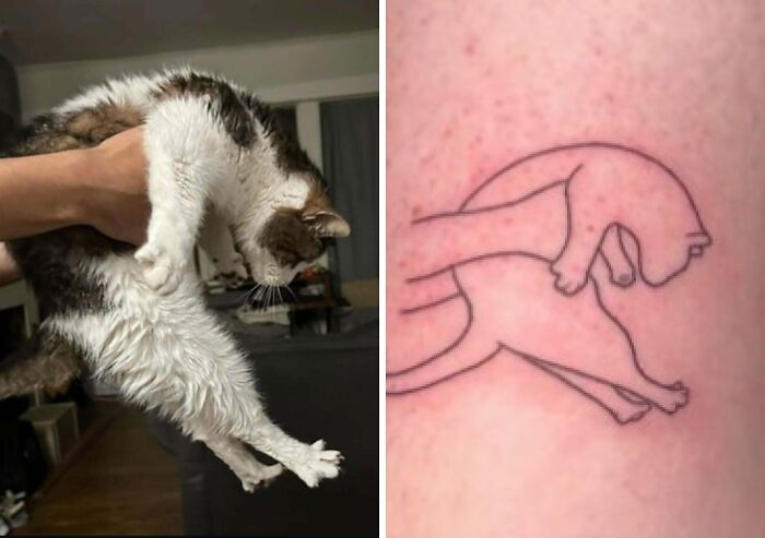 Cat photo next to a simple tattoo outline of the same pose, illustrating tattoo expectations vs reality humor.
