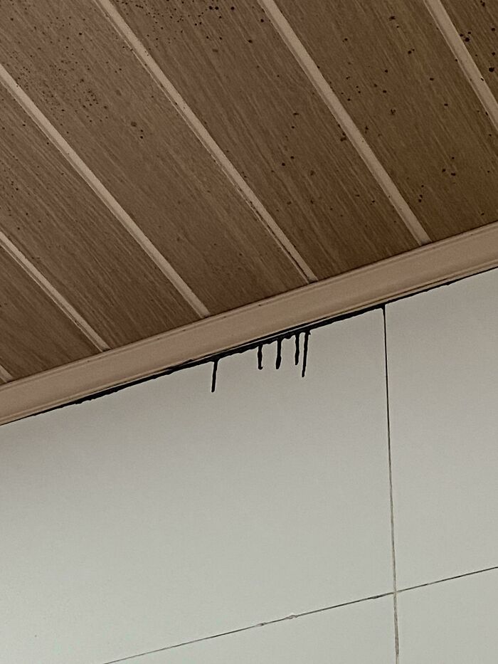 Dripping dark stains on a white tiled wall under a wooden ceiling, showing a funny pic of utter confusion.