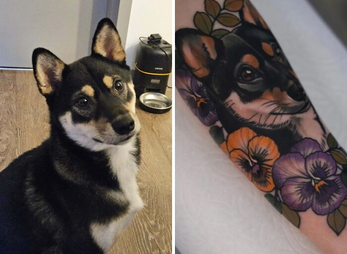 Side-by-side image of a dog and its tattoo showing tattoo expectations vs reality with detailed pet portrait and flowers.