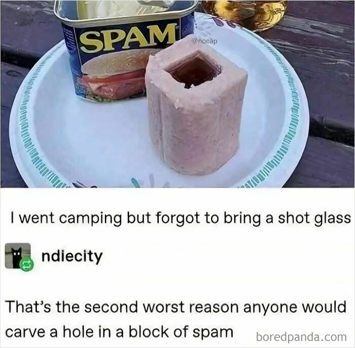 Block of spam carved with a square hole on a paper plate next to a can, showcasing a disgusting food pic that might ruin appetite.