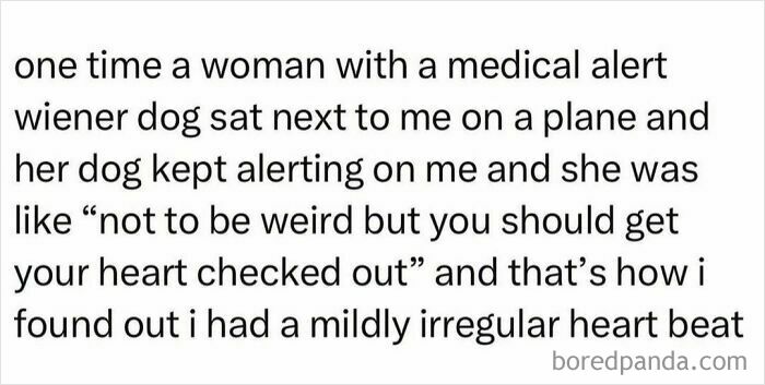 Tweet about a medical alert wiener dog on a plane warning about an irregular heartbeat in a hilarious tweet shared online.