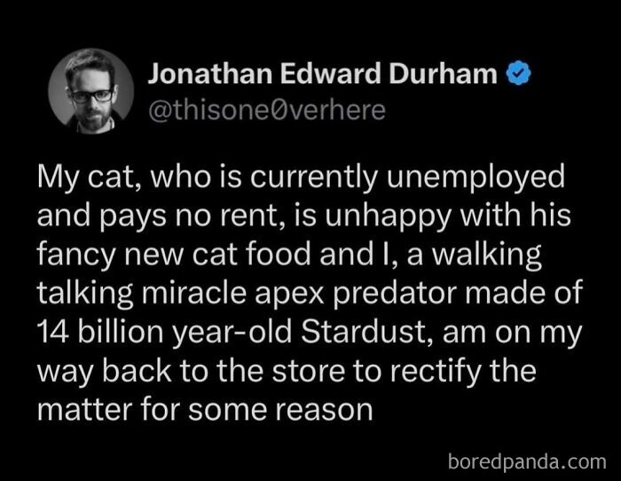 Screenshot of a hilarious tweet about an unemployed cat and stardust apex predator owner from popular Twitter comedy posts.