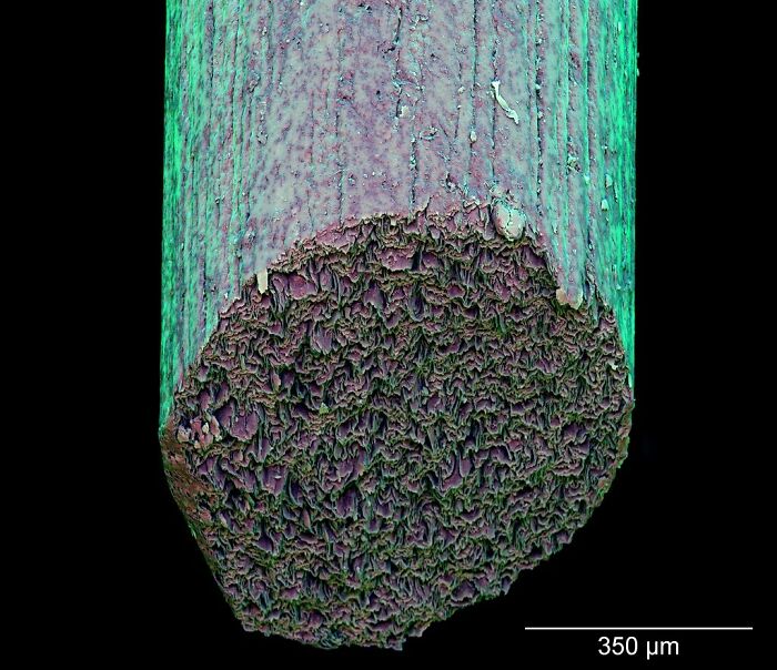 Microscopic image showing detailed texture and structure of an ordinary object at high magnification scale.