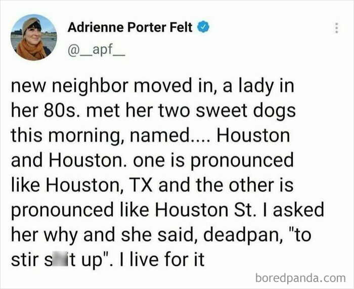 Screenshot of a hilarious tweet about a lady naming her two dogs Houston with different pronunciations, humor shared on Instagram.