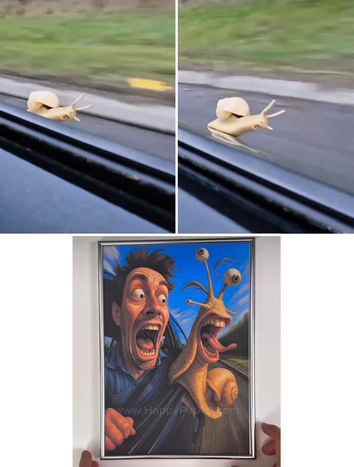Snail photographed on car window transformed into a hilarious royal portrait capturing awkward pet moments.