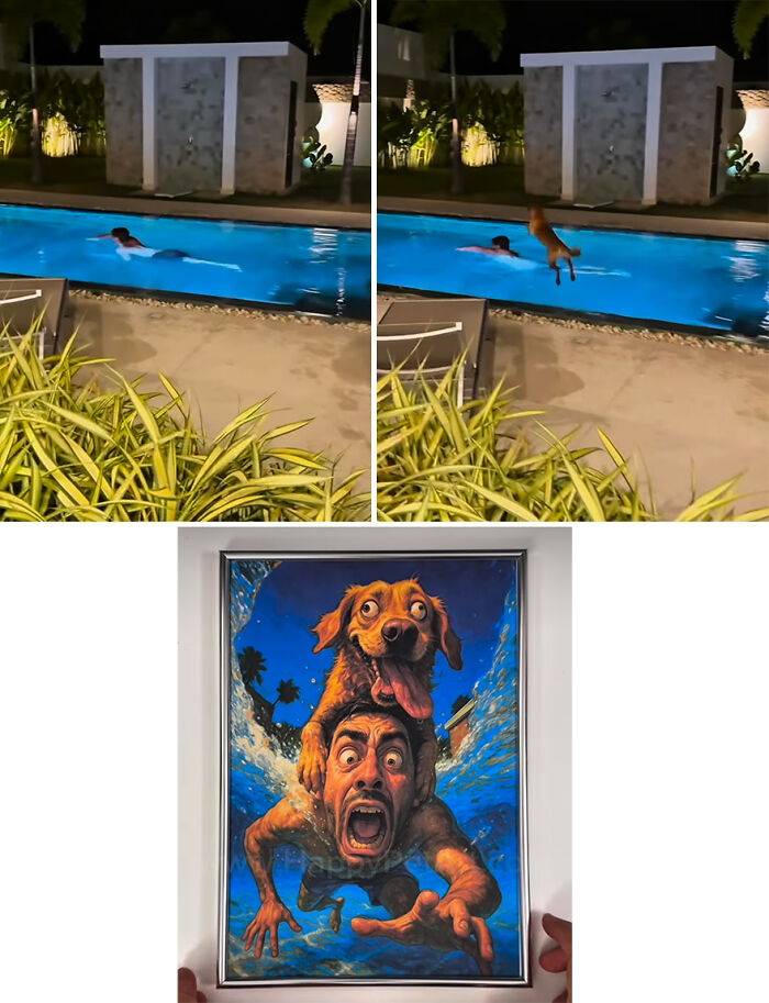 Dog jumping into pool and a man swimming, followed by a hilarious royal pet portrait painting capturing the awkward moment.