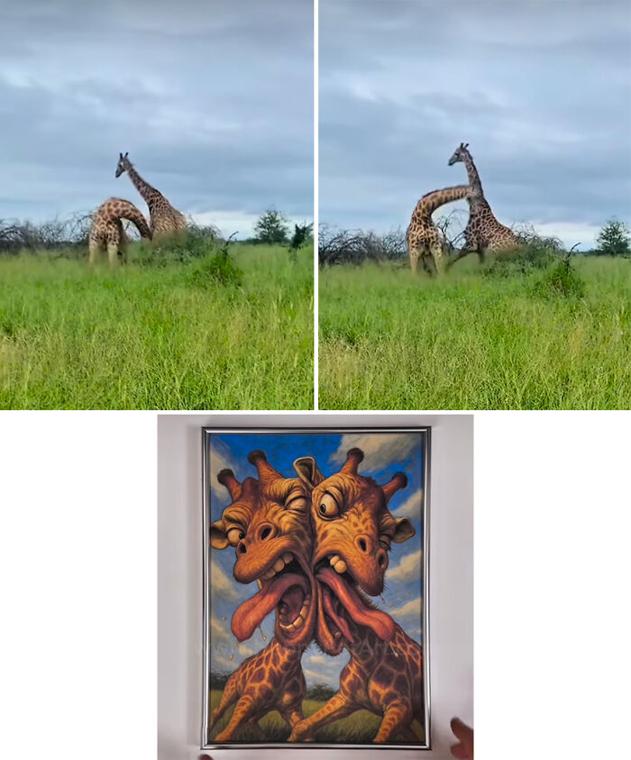 Two giraffes in awkward poses in a field paired with a hilarious royal portrait of giraffes by artist.