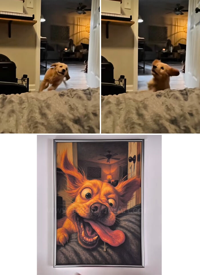 A golden retriever's awkward moment transformed into a hilarious royal pet portrait by a creative artist.