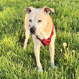 jacquelinepagan avatar