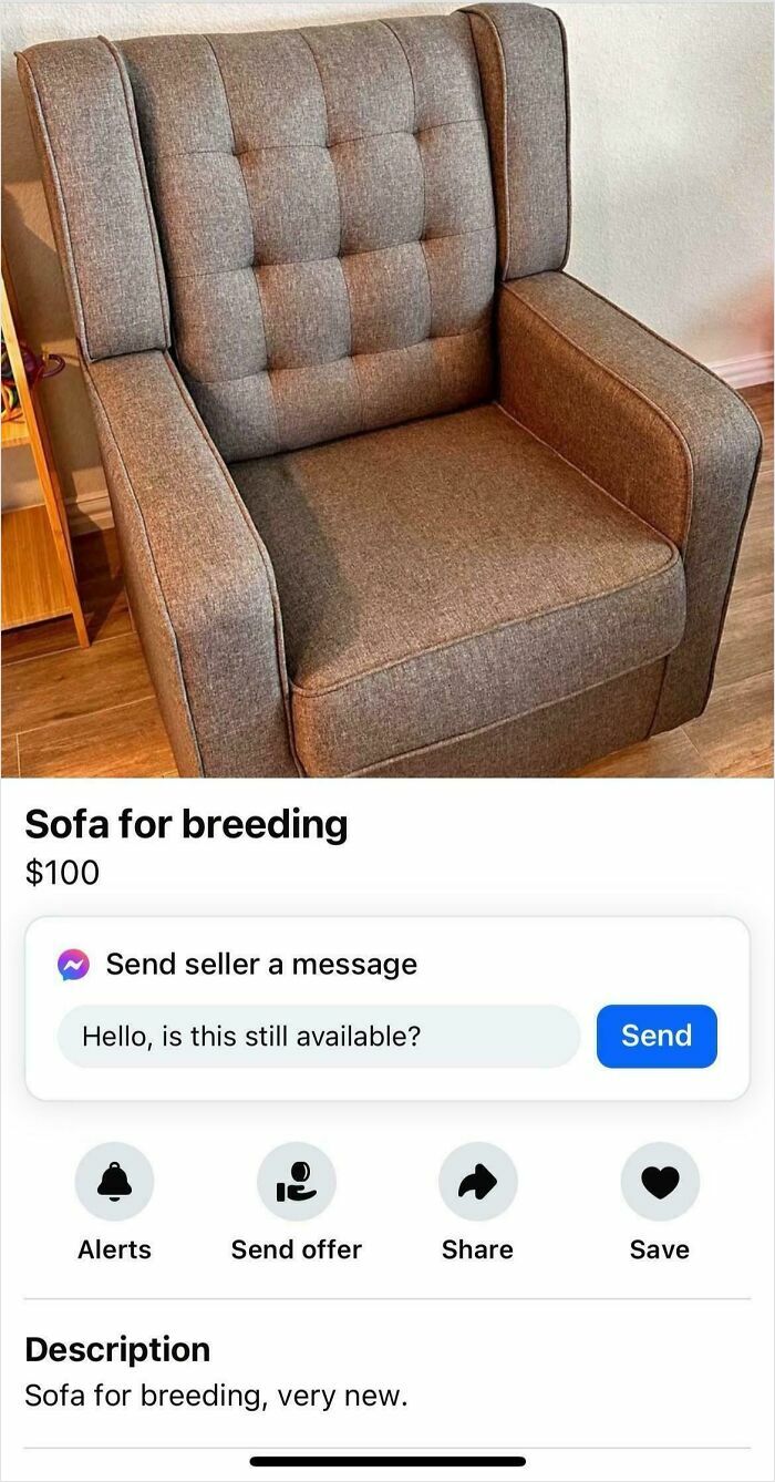 Gray armchair listed for sale online with confusing description funny pics people had to take due to utter confusion