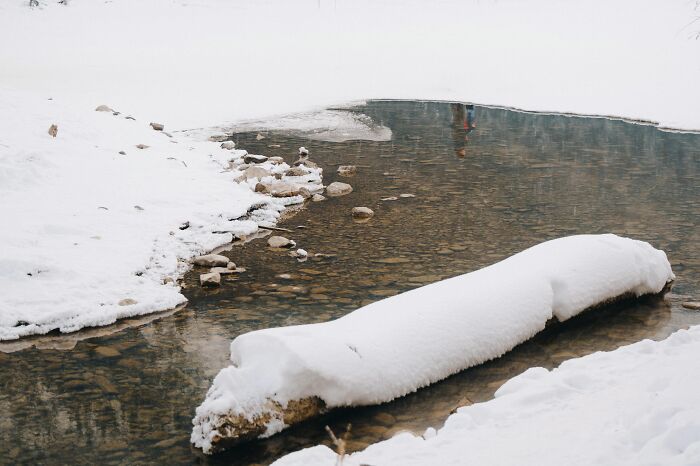 Snow-covered log resting in a shallow creek, surrounded by icy banks, evoking eerie and unsettling Wikipedia scenes.