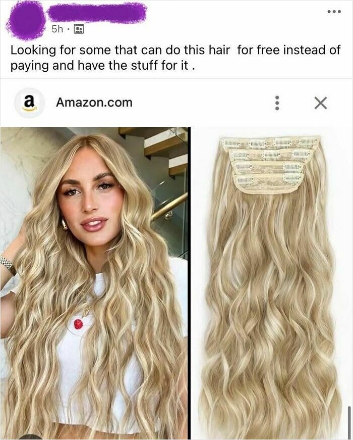 Person asking for a free hairstyle matching long wavy blonde hair extensions from Amazon in an entitlement request.