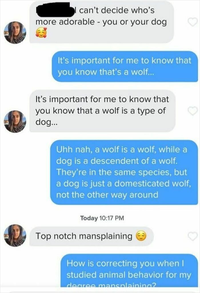 Text conversation where one person confidently corrects another about wolves and dogs, highlighting overconfidence in online group discussions.