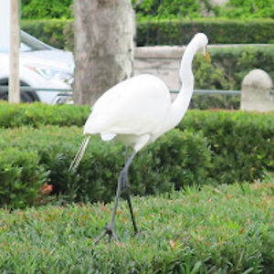 laurastanbrough avatar