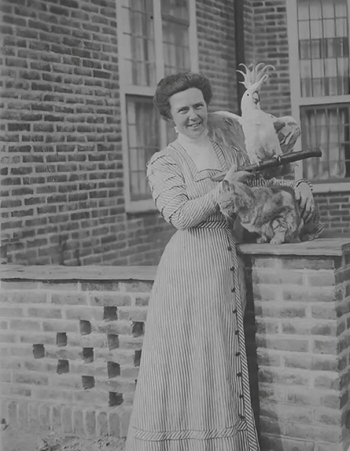 Woman in Victorian-era dress holding a cockatoo and petting a cat outside a brick building in strange Victorian moments.