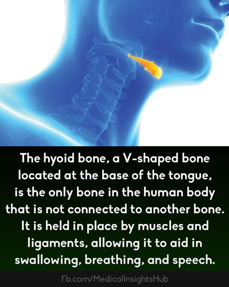 50 Cool And Interesting Medical Facts You Might Not Know About Your Own Body And Health