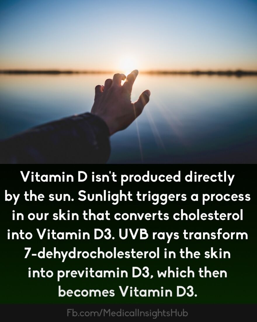 Hand reaching toward sunlight over water, illustrating curious medical facts about fingers containing no muscles.