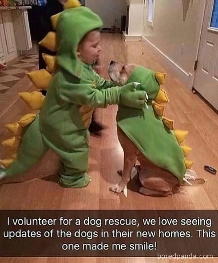 Toddler and dog dressed in matching dinosaur costumes, capturing a funny and silly animal meme moment indoors.