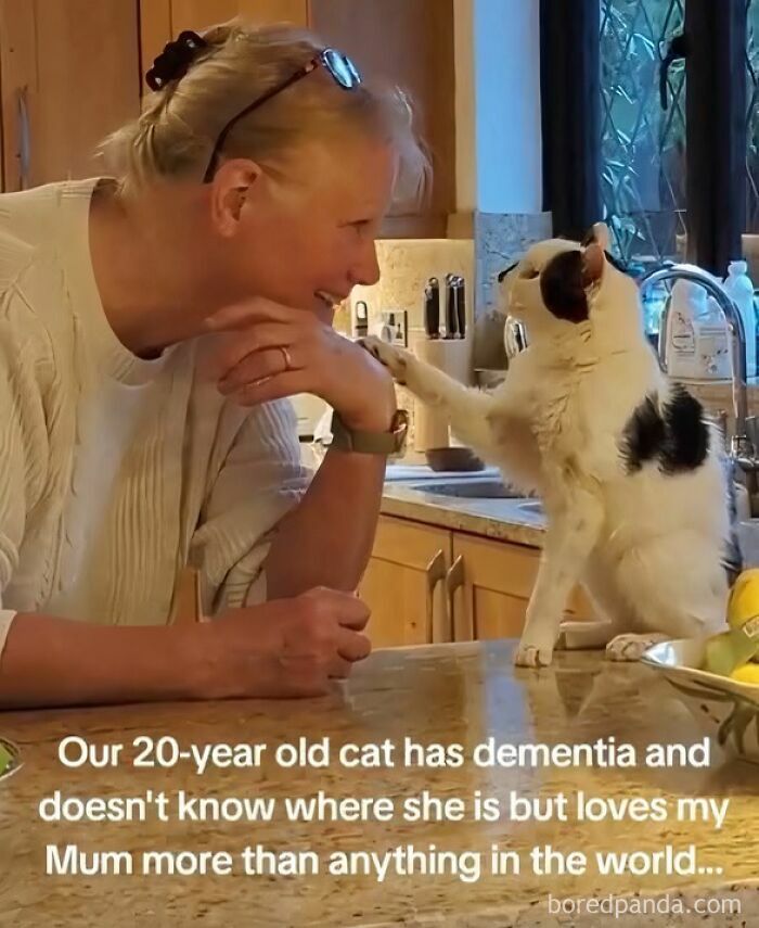 Woman smiling at her elderly cat touching her chin, a funny and silly animal meme about pet dementia and love.