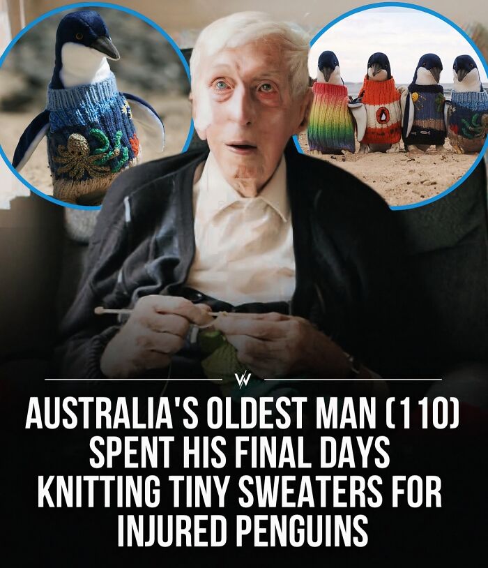 Elderly man knitting sweaters for injured penguins featured in interesting short stories collection.