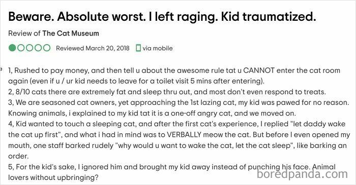 Review of The Cat Museum by a parent upset over rules and kid's trauma, highlighting outrageous demands made by parents.