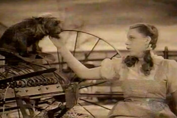 Girl in a vintage scene holding a tiny dog with eerie atmosphere, related to scary and unsettling Wikipedia articles.
