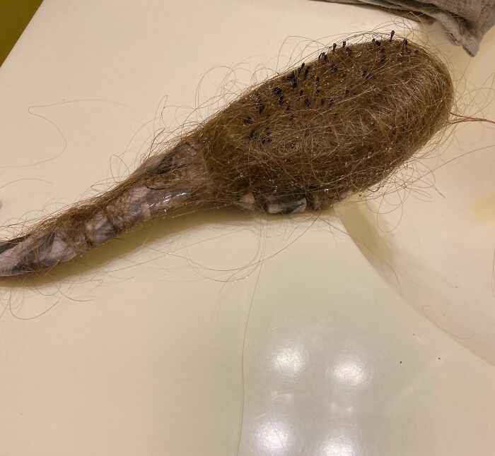 Hairbrush covered in tangled hair strands, showing the hilariously unlucky parents' daily struggles and need for a break.