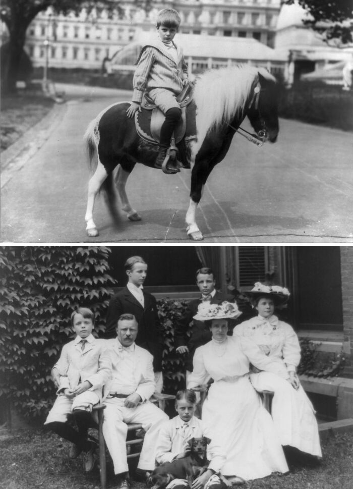Vintage photos of presidential pets and family moments, capturing life at the White House with historic charm and warmth.