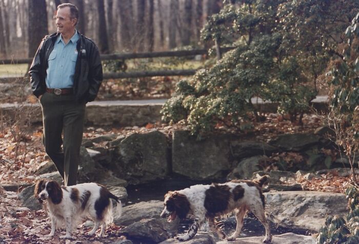Man walking outdoors with two presidential pets, showcasing life at the White House through the eyes of pets.