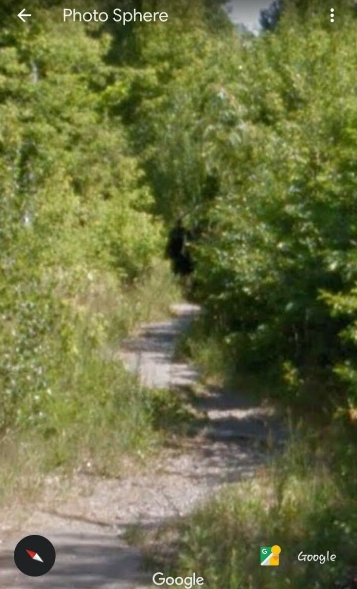 Narrow forest path with dense green foliage and a shadowy figure in the distance, evoking chilling ghost encounters.