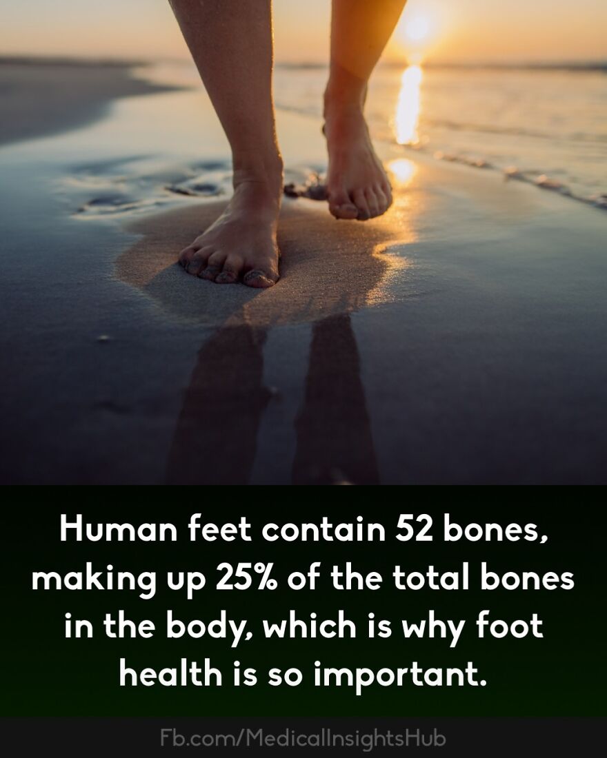 Feet close-up on wet sand at sunset, highlighting foot health and medical facts about bones in human feet.